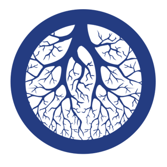 Root Removal in Drains